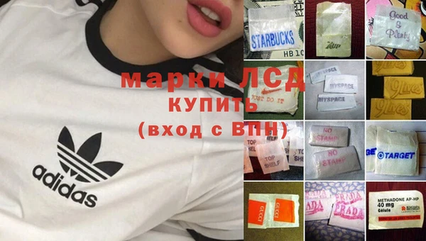 молекула духа Михайлов