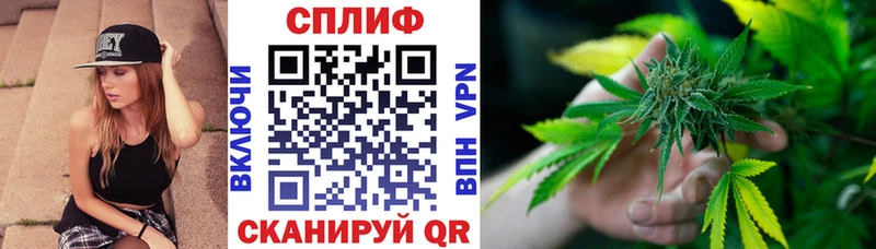 где купить наркотик  мега ONION  Конопля сатива  Руза 